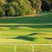 <Saffron Walden Golf Club
